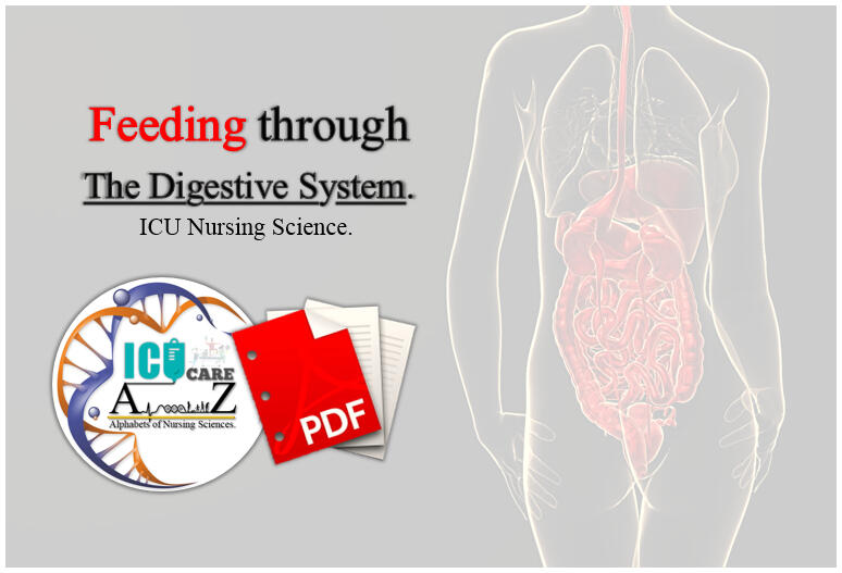 By A to Z NS DB 17-23